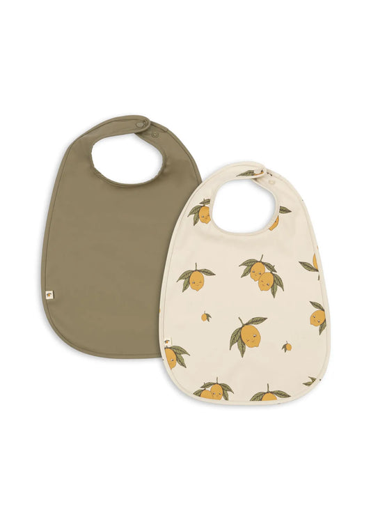 2 pack dinner bib- sweet and sour/aloe