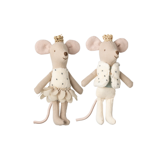 Royal twin mice, Little sister and brother in matchbox