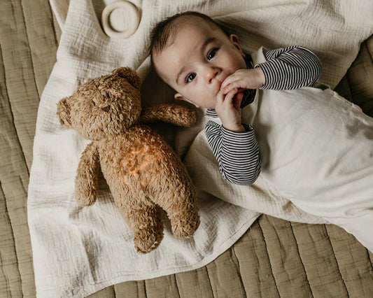 2.0 organic bear - cappucino