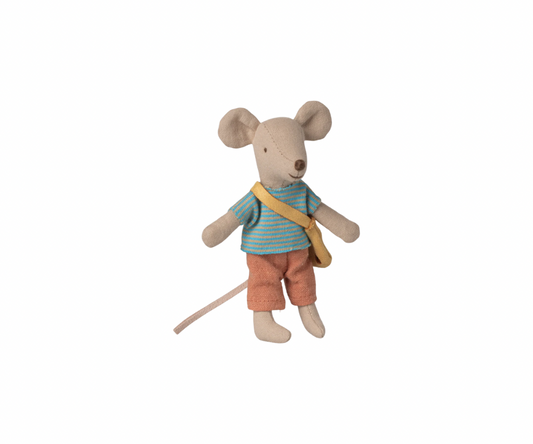 Little brother mouse with bag