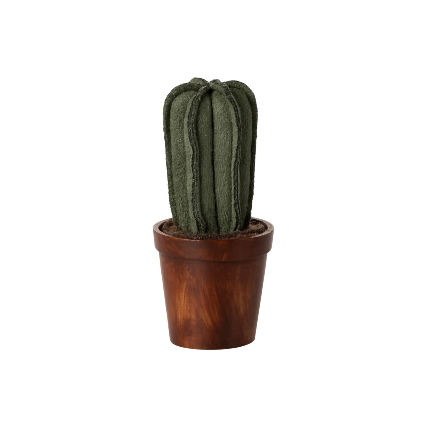 Flower pot with cactus