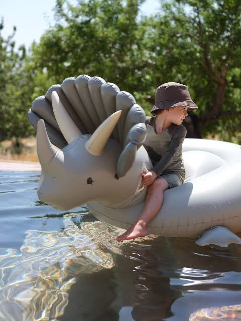 Dino Float