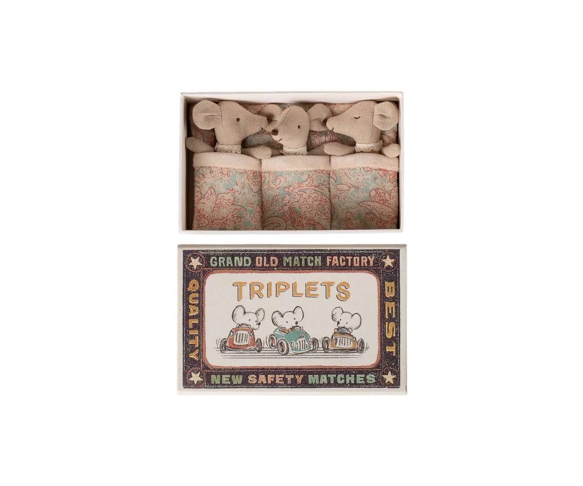 Triplets, Baby mice in matchbox - Checker