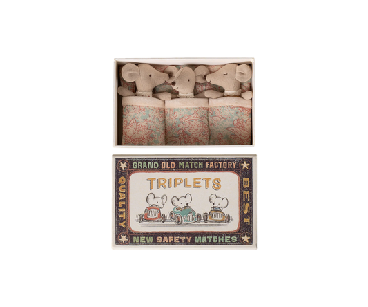 Triplets, Baby mice in matchbox - Checker