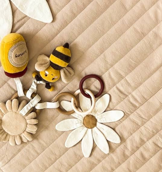 activity ring bee - multi