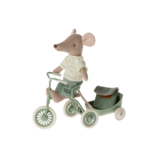 Tricycle mouse, Big brother