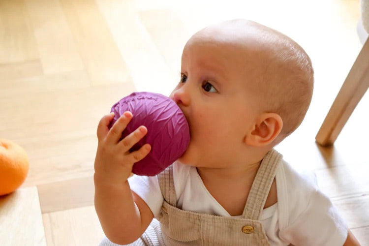 Purple Cabbage Baby Ball