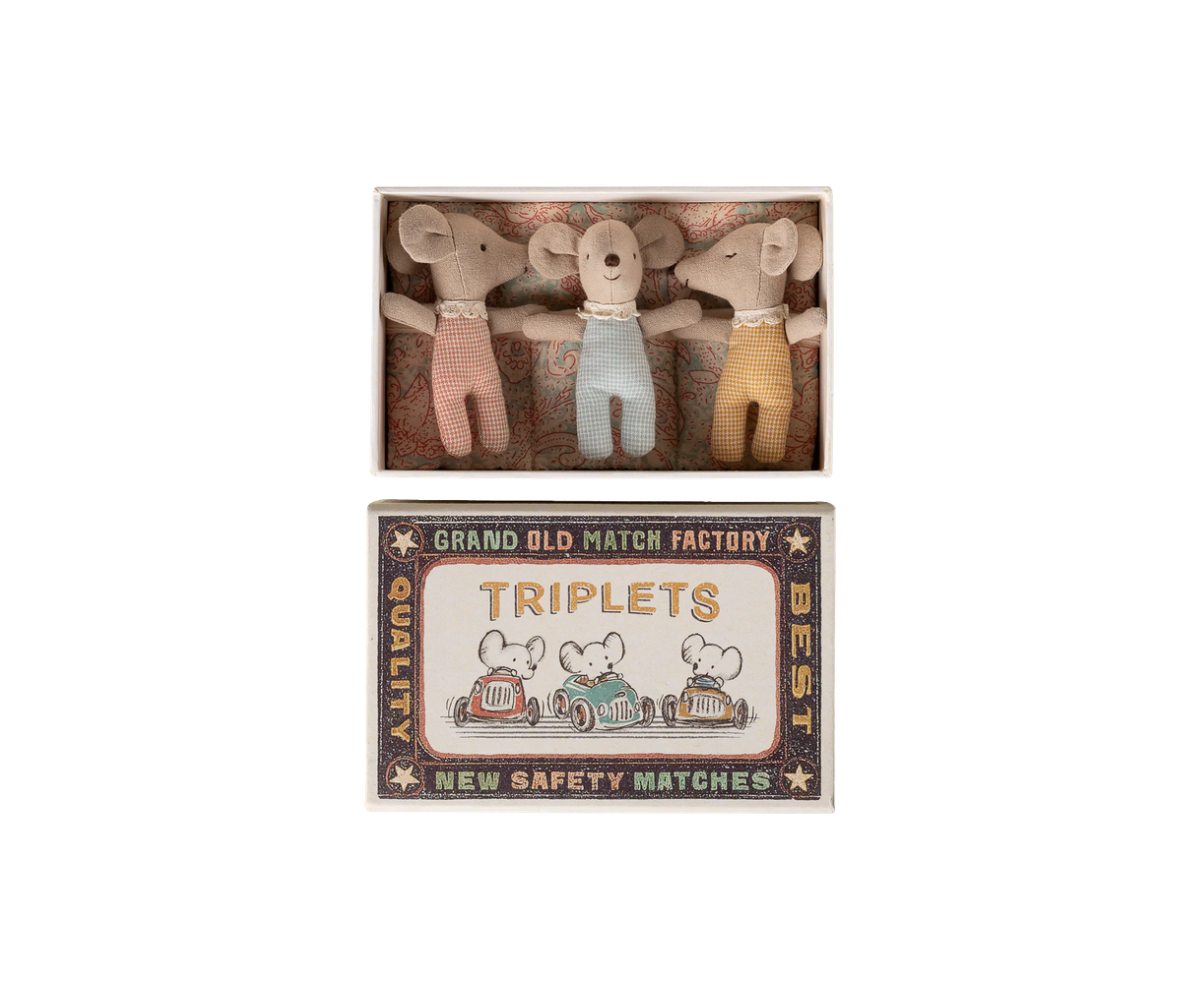 Triplets, Baby mice in matchbox - Checker