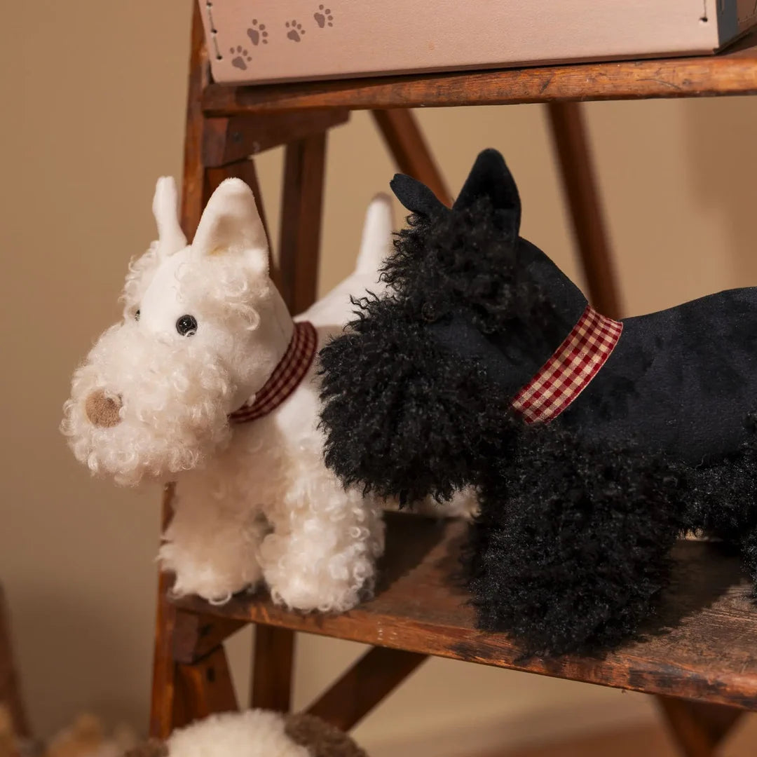 Walter the Scottie