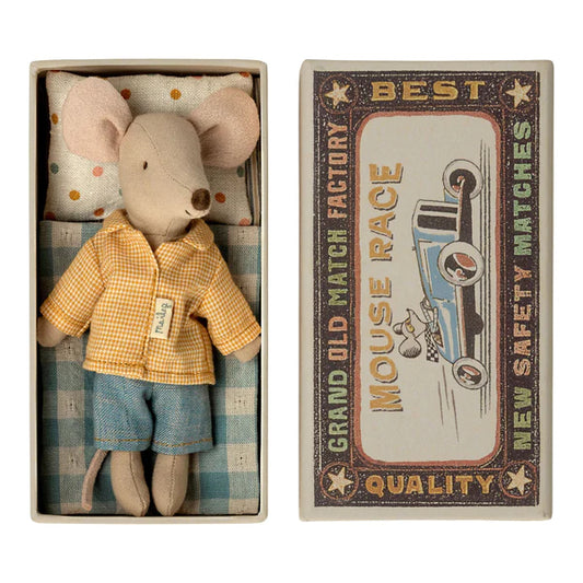 Big brother mouse in matchbox