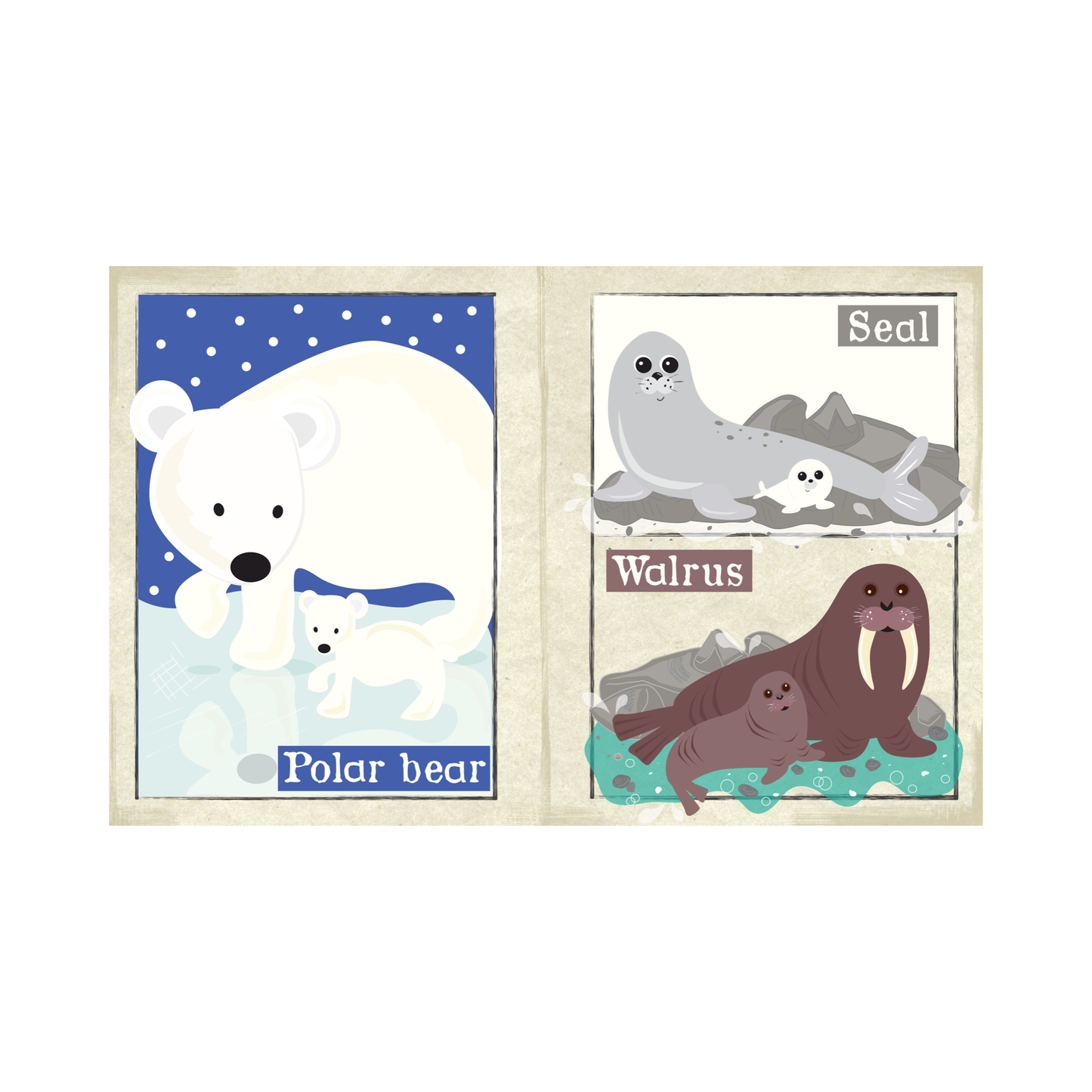 Arctic Animals