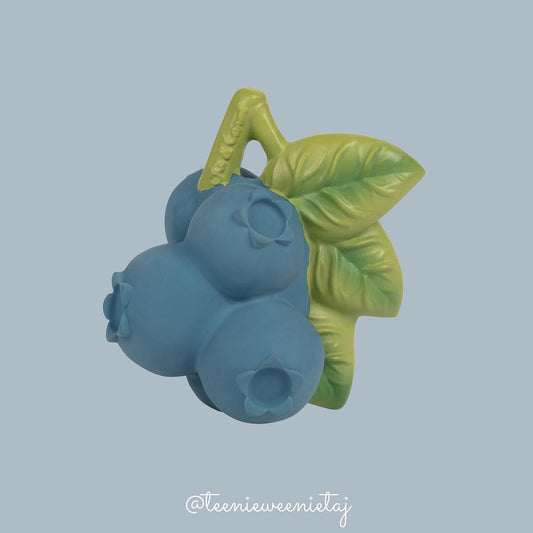 Jerry The Blueberry