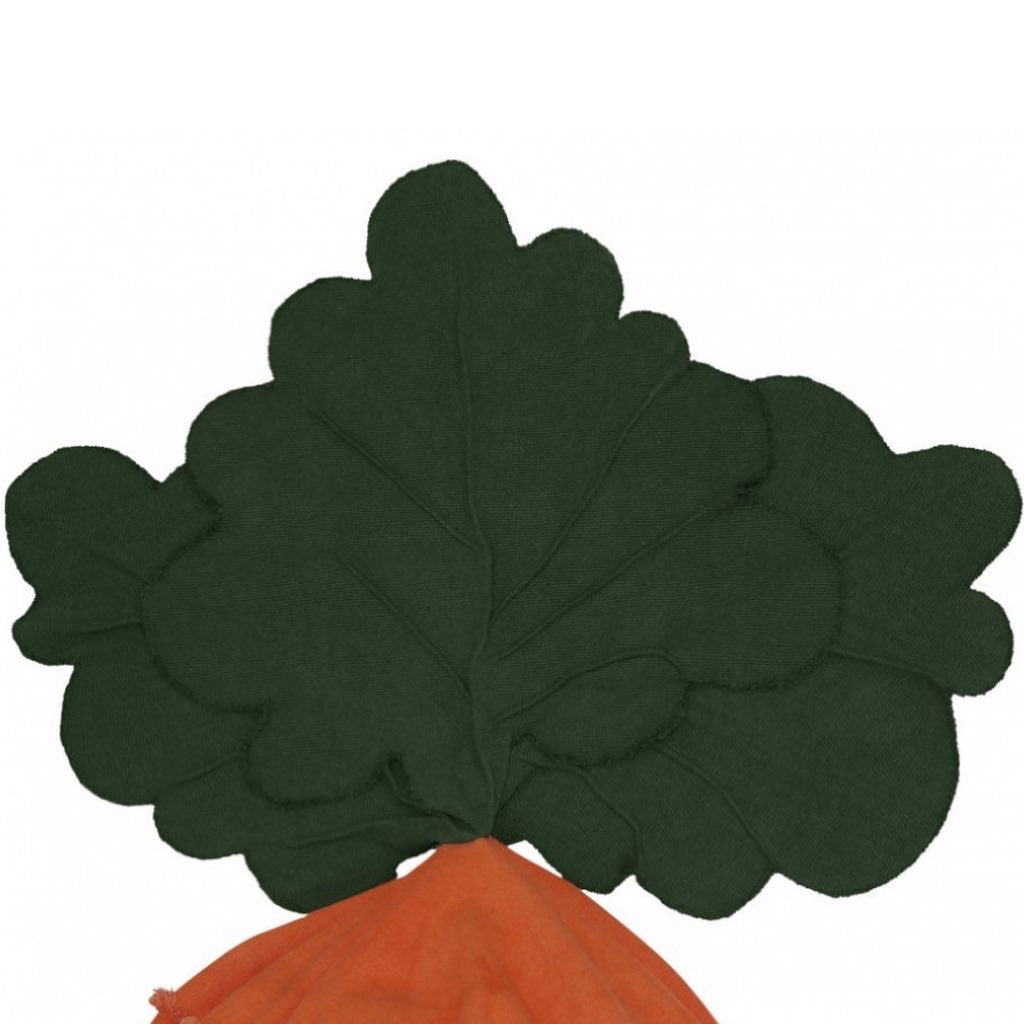 Bean Bag Cathy The Carrot