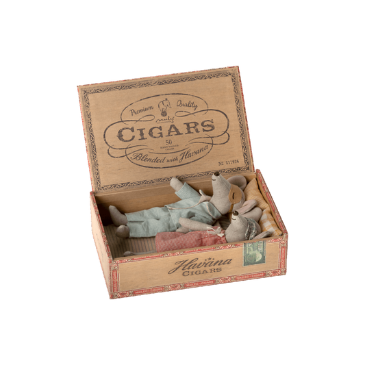 Mum and dad mice in cigarbox