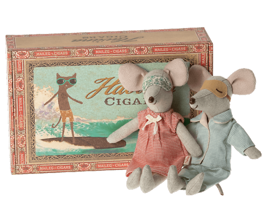 Mum and dad mice in cigarbox