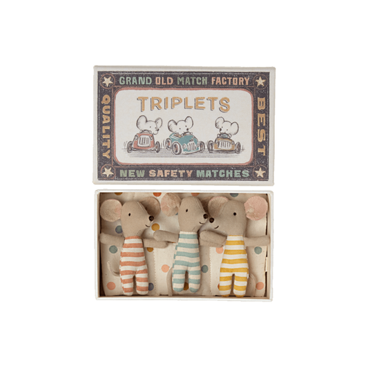 Triplets , Baby mice in matchbox