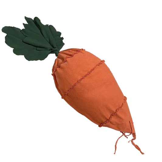 Bean Bag Cathy The Carrot