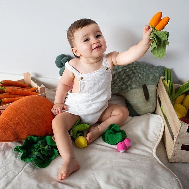 Cathy The Carrot Mini Doudou-Teether