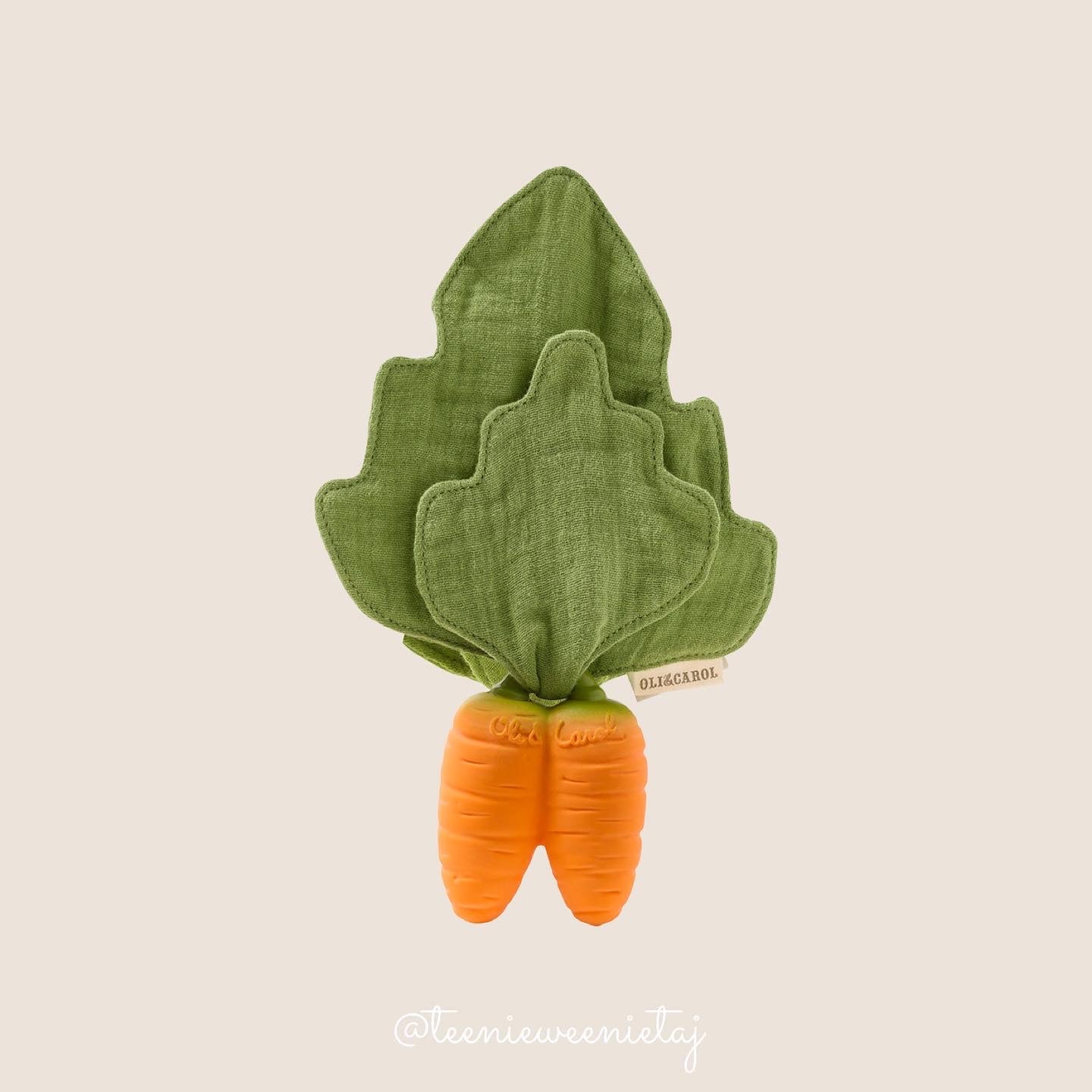 Cathy The Carrot Mini Doudou-Teether